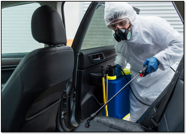 expert car stain removal service